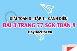 Giải bài 3 trang 77 Toán 8 Tập 1 SGK Cánh Diều